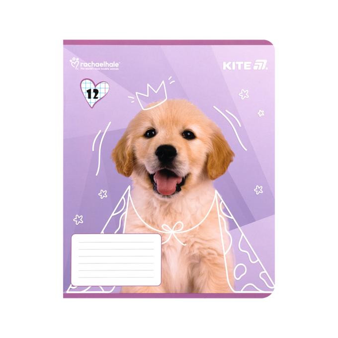 Kite R25-232