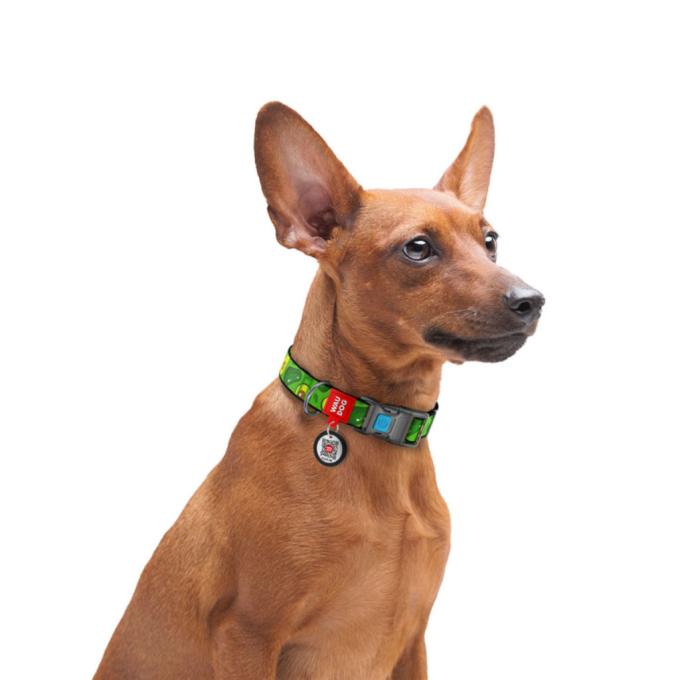 WAUDOG 4762