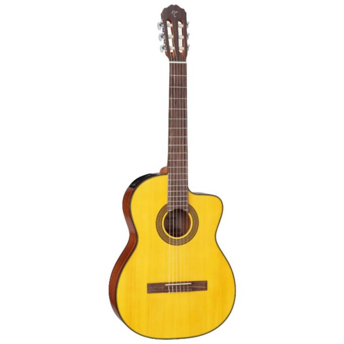 Takamine 221977