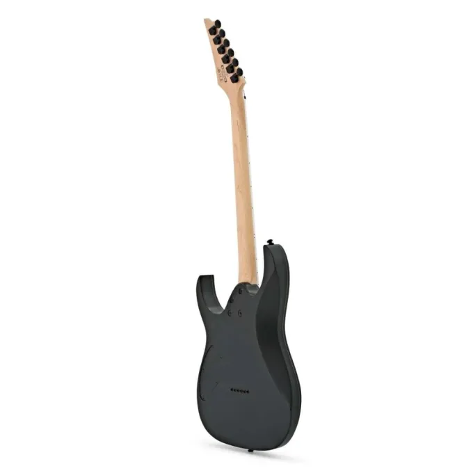 Ibanez 220670