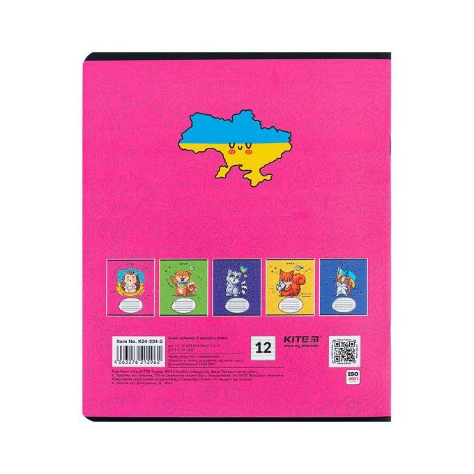 Kite K24-234-2