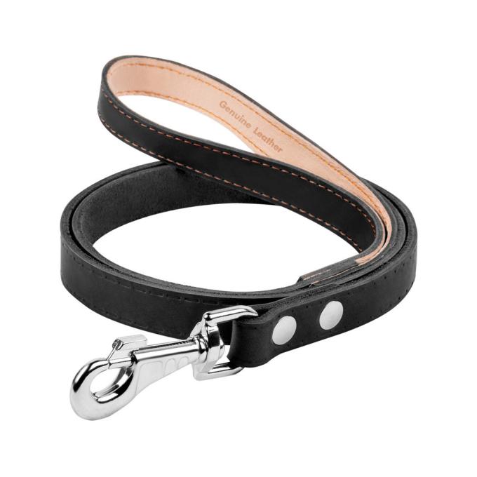 Collar 04431