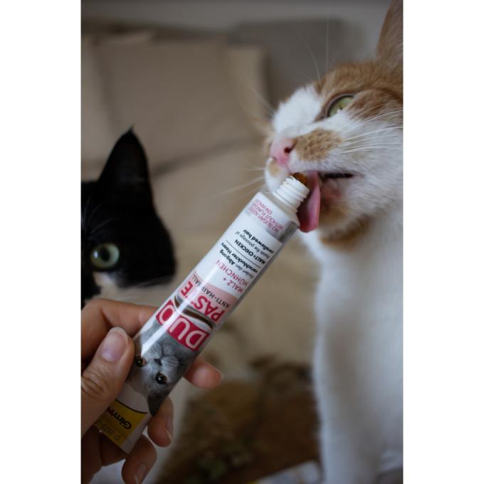 GimCat 4002064427201