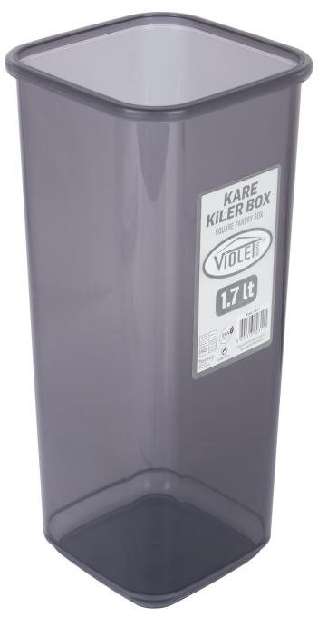 VIOLET HOUSE 0311 Transparent Black