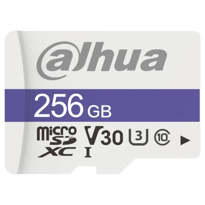 Dahua DHI-TF-C100/256GB