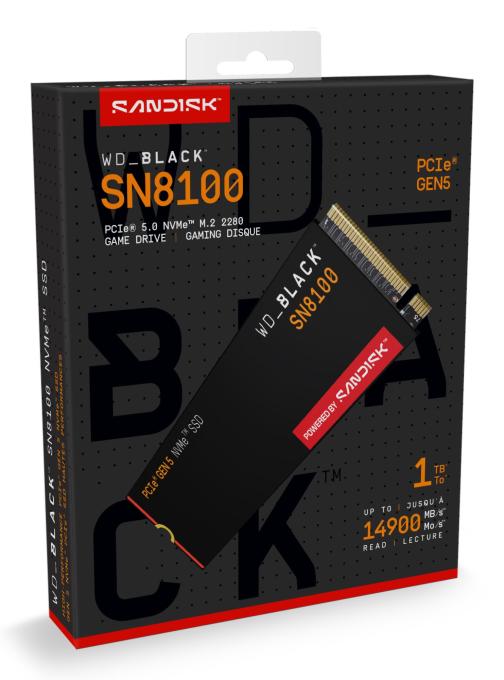 SANDISK WDS100T1X0M