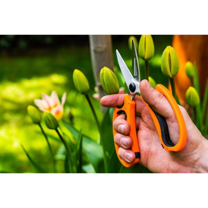 Neo Tools 15-215