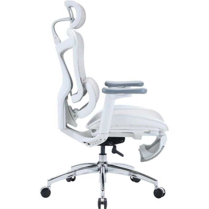 Sihoo DORO-C300L-A3-102-JT