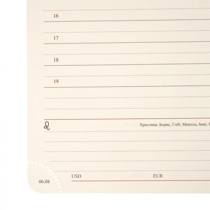 Leo planner 252634