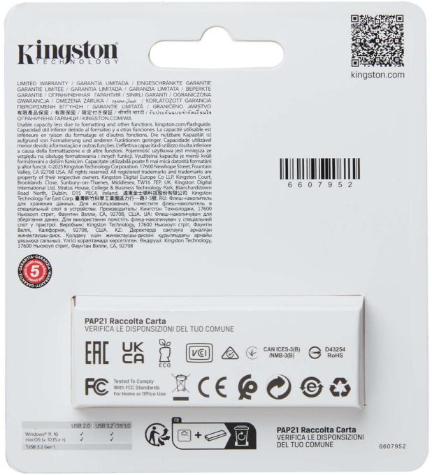 Kingston DTXS/256GB