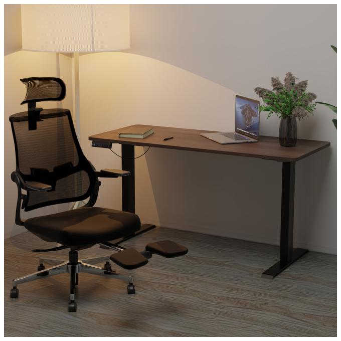 Mealux EVO-242 Duo Walnut /B