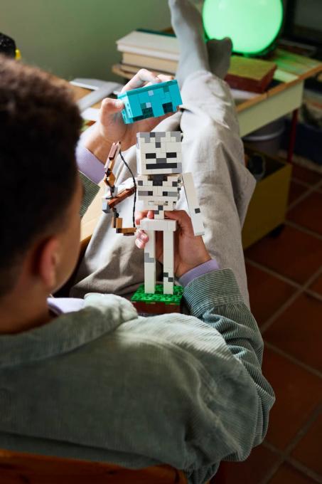 LEGO 21594