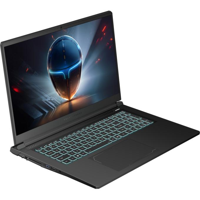 Thunderobot 911X17-i7136H56C1Q165MB