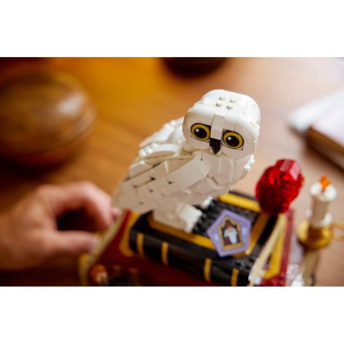 LEGO 76466