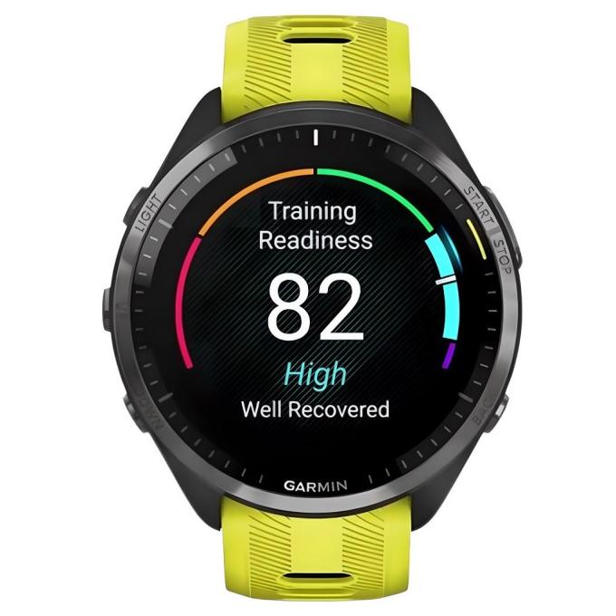 Garmin 010-02809-12