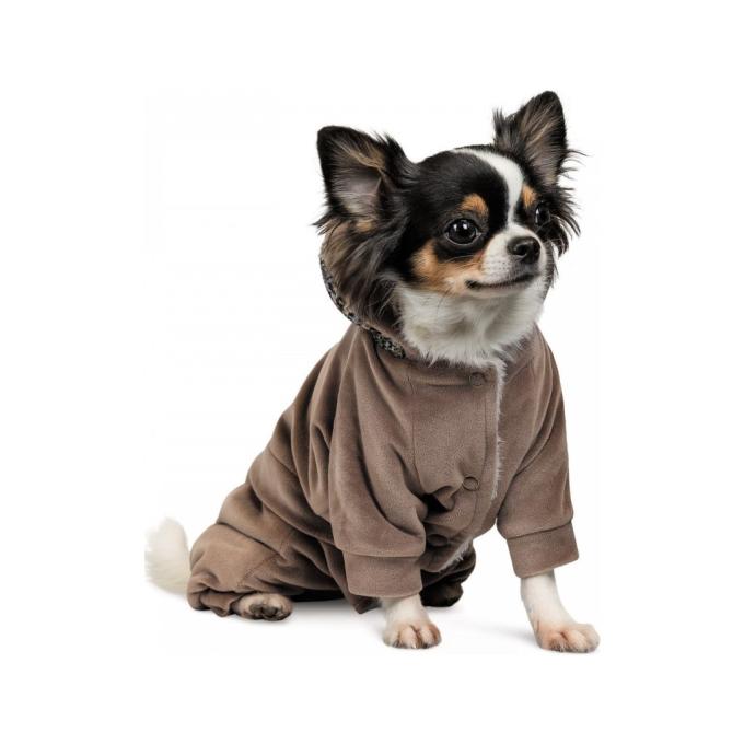 Pet Fashion 4823082427895