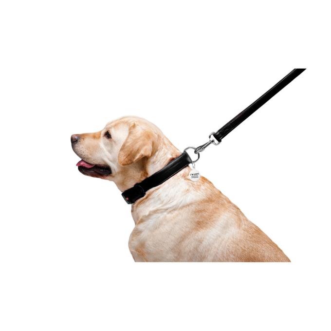 WAUDOG 33761