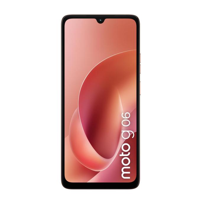 Motorola PBA20019RS