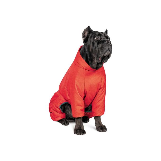 Pet Fashion 4823082426072
