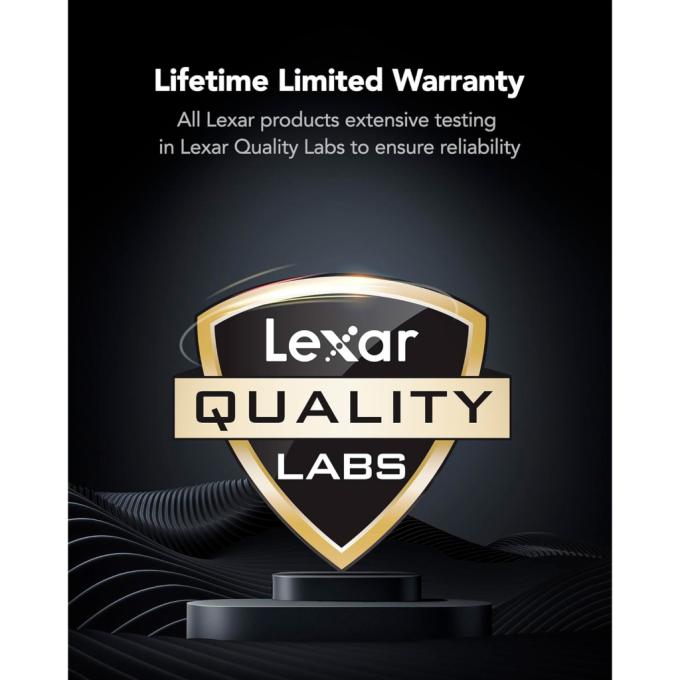 Lexar LD5U16G60C38LG-RGD