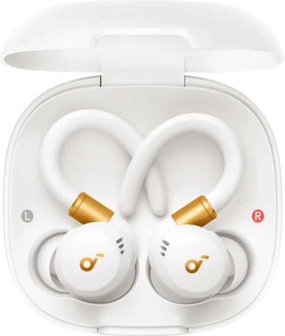Anker A3968G21