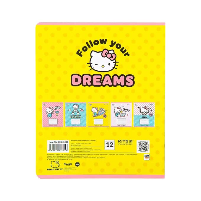 Kite HK22-234
