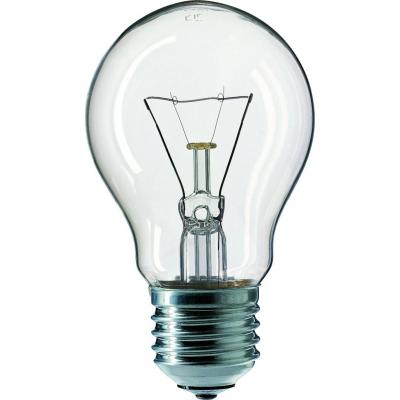 Лампочка PHILIPS E27 100W 230V A55 CL 1CT/12X10F Stan 926000004001
