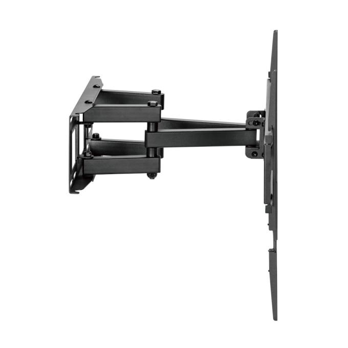 Kivi Motion-466