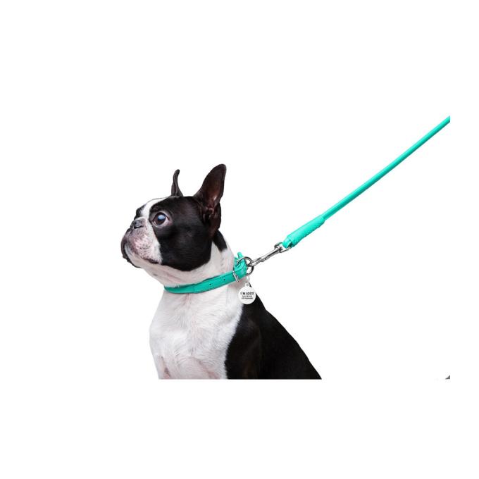 WAUDOG 337713
