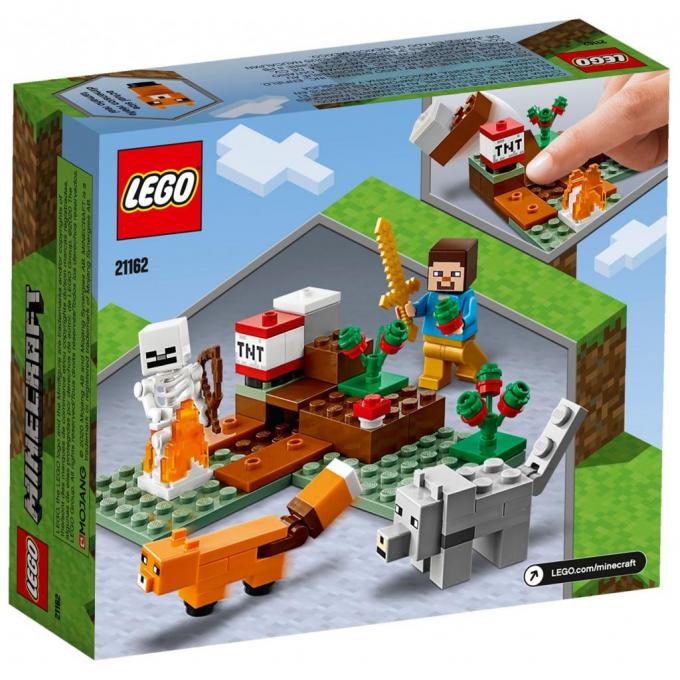 LEGO 21162