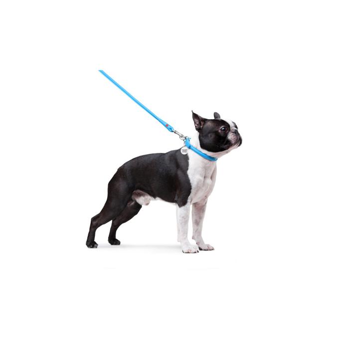 WAUDOG 33772