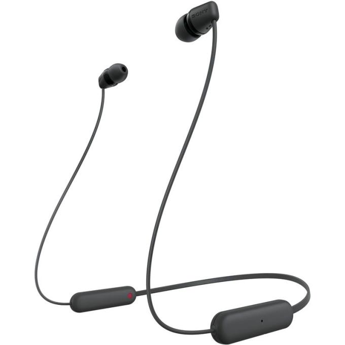 SONY WIC100B.CE7