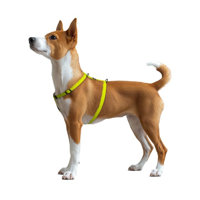 WAUDOG 262226