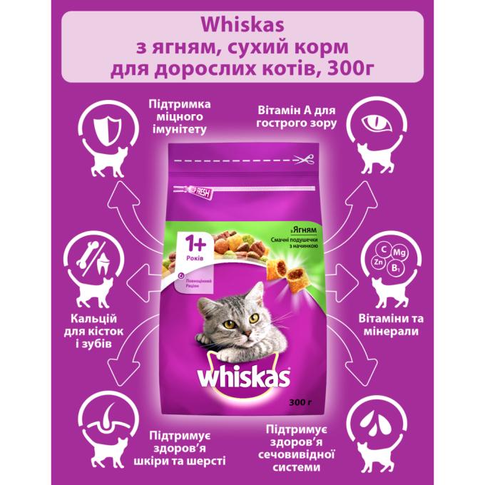 Whiskas 5900951305719/5900951014086