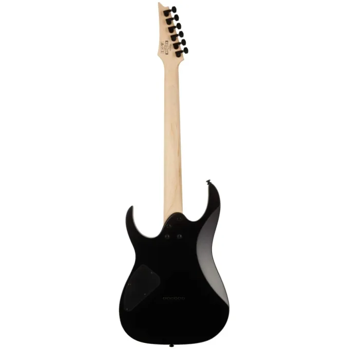 Ibanez 220670