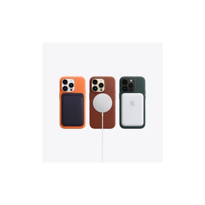 Apple iP14PM25SBk_B