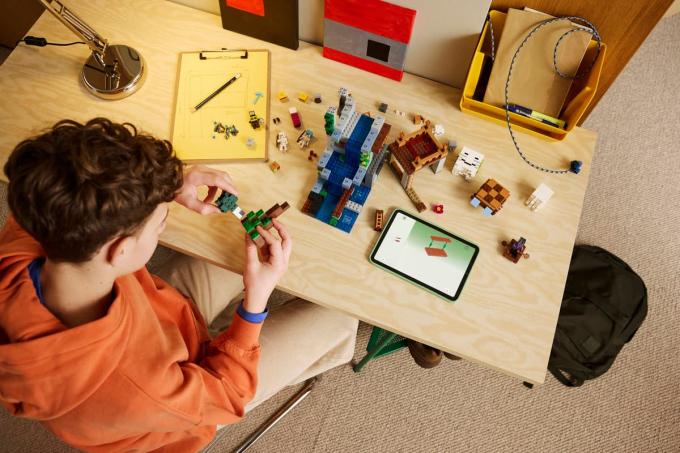 LEGO 21597-
