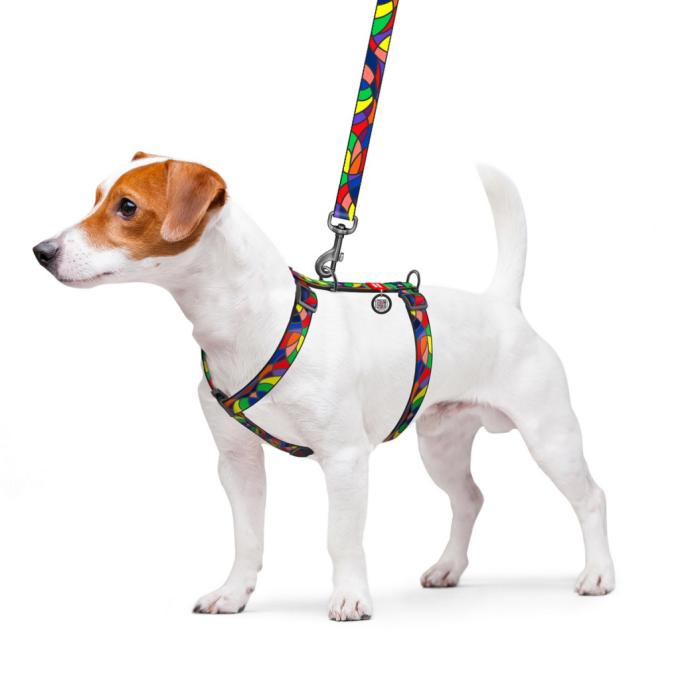 WAUDOG 5617