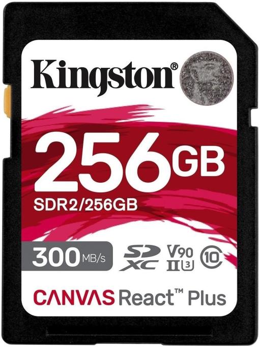 Kingston SDR2/256GB