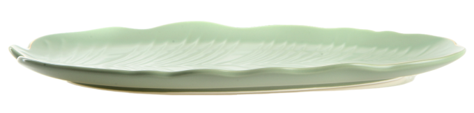 LIMITED EDITION B010789