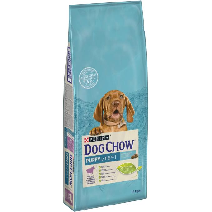 Purina Dog Chow 7613034487872