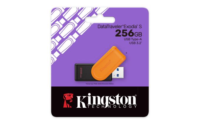 Kingston DTXS/256GB