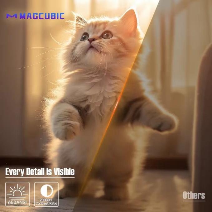 Magcubic L018