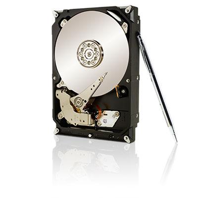 Seagate ST1000DX001