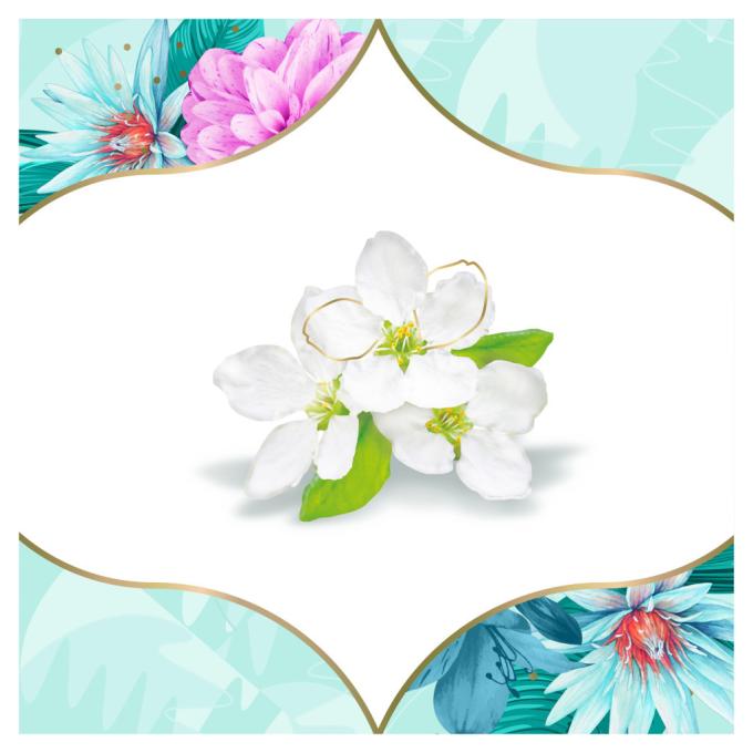Discreet 8001090170316/8700216153096