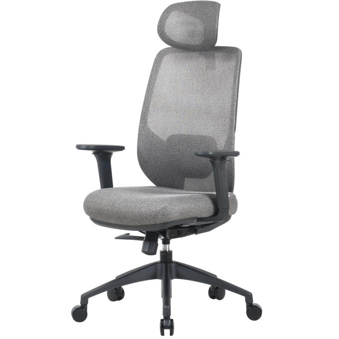 OfficePro OC524G