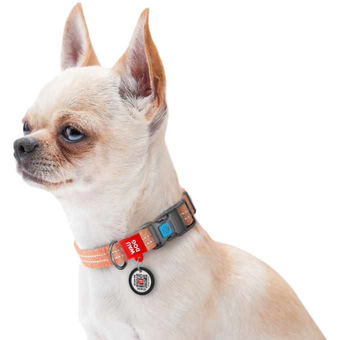 WAUDOG 02884
