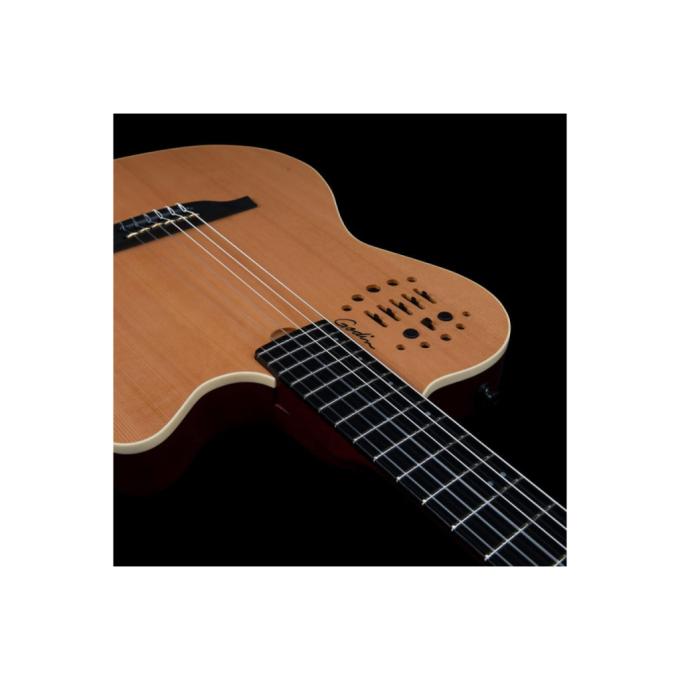 Godin 235922