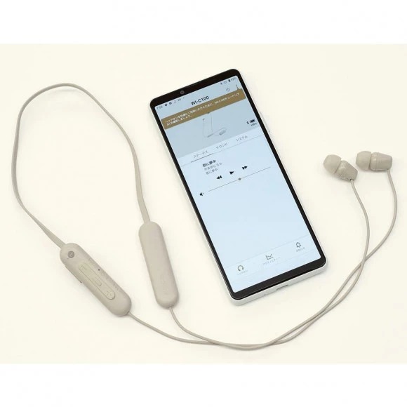 SONY WIC100C.CE7