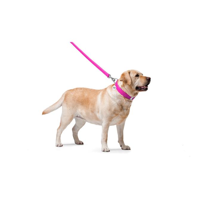WAUDOG 33767